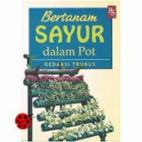 Image of Bertanam Sayur dalam Pot