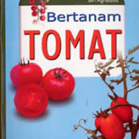 Image of Bertanam Tomat