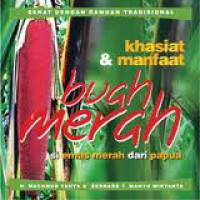 Image of Khasiat & manfaat buah merah