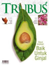 Image of TRUBUS, Daun Avokad : Baik Untuk Ginjal