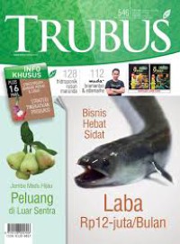 Image of TRUBUS, Bisnis Hebat Sidat Laba Rp 12 juta/bulan