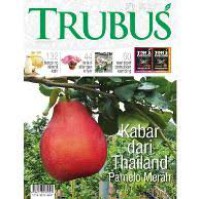 Image of TRUBUS, Kabar dari Thailand Pmaelo Merah