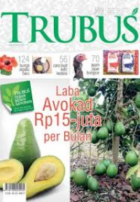 Image of TRUBUS, Laba Avokad Rp 15 Juta perbulan