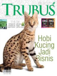 Image of TRUBUS, Hobi Kucing Jadi Bisnis
