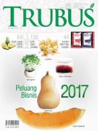 Image of TRUBUS, Peluang Bisnis 2017