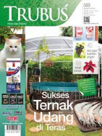 Image of TRUBUS, Sukses Ternak Udang di Teras