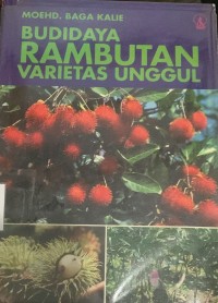 Image of Budidaya Rambutan Varietas Unggul