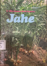Image of Jahe