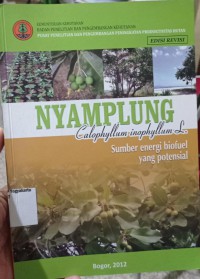 Image of Nyamplung