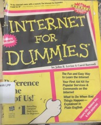Image of The Internet For Dummles